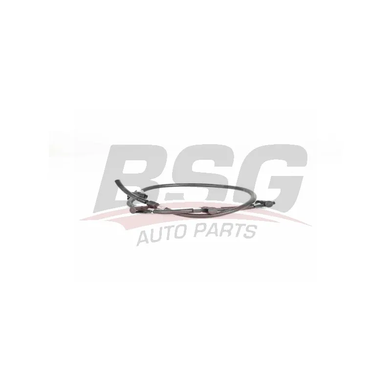 Tuyau, carburant de fuite BSG BSG 60-725-023