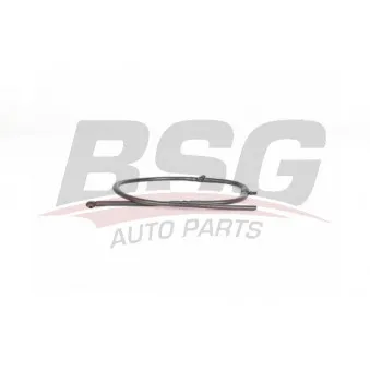 Tuyau, carburant de fuite BSG BSG 60-725-025