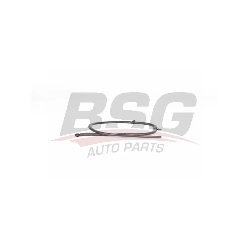 Tuyau, carburant de fuite BSG BSG 60-725-025