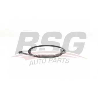 Tuyau, carburant de fuite BSG BSG 60-725-026