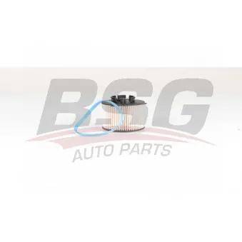 Filtre à carburant BSG BSG 65-130-011