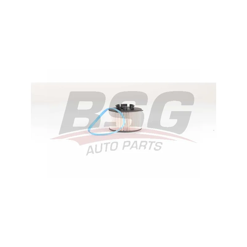 Filtre à carburant BSG BSG 65-130-011