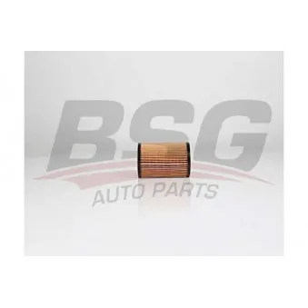 Filtre à huile BSG BSG 65-140-019
