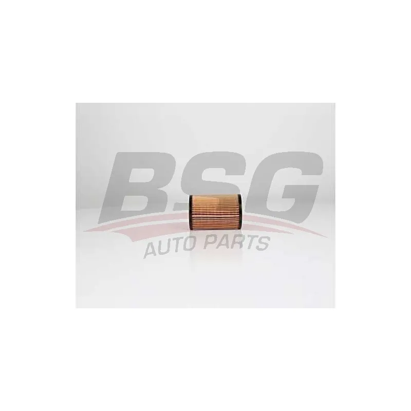 Filtre à huile BSG BSG 65-140-019
