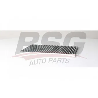 Filtre, air de l'habitacle BSG BSG 65-145-017