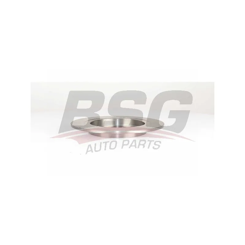 Jeu de 2 disques de frein arrière BSG BSG 65-210-024