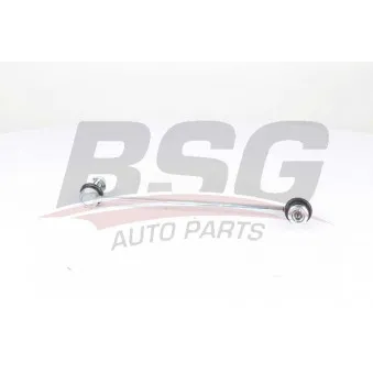 Entretoise/tige, stabilisateur BSG BSG 65-310-069