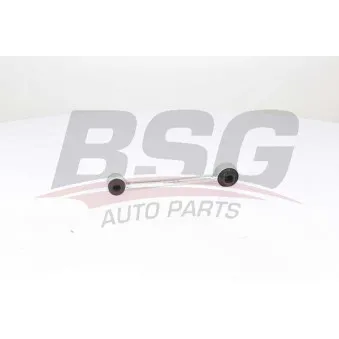 Entretoise/tige, stabilisateur BSG BSG 65-310-106
