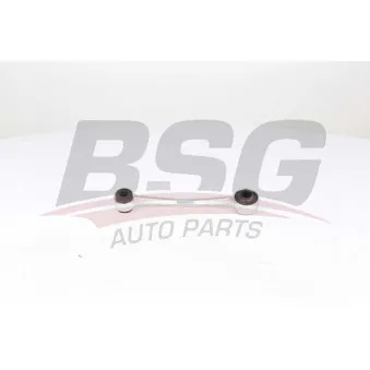 Entretoise/tige, stabilisateur BSG BSG 65-310-107