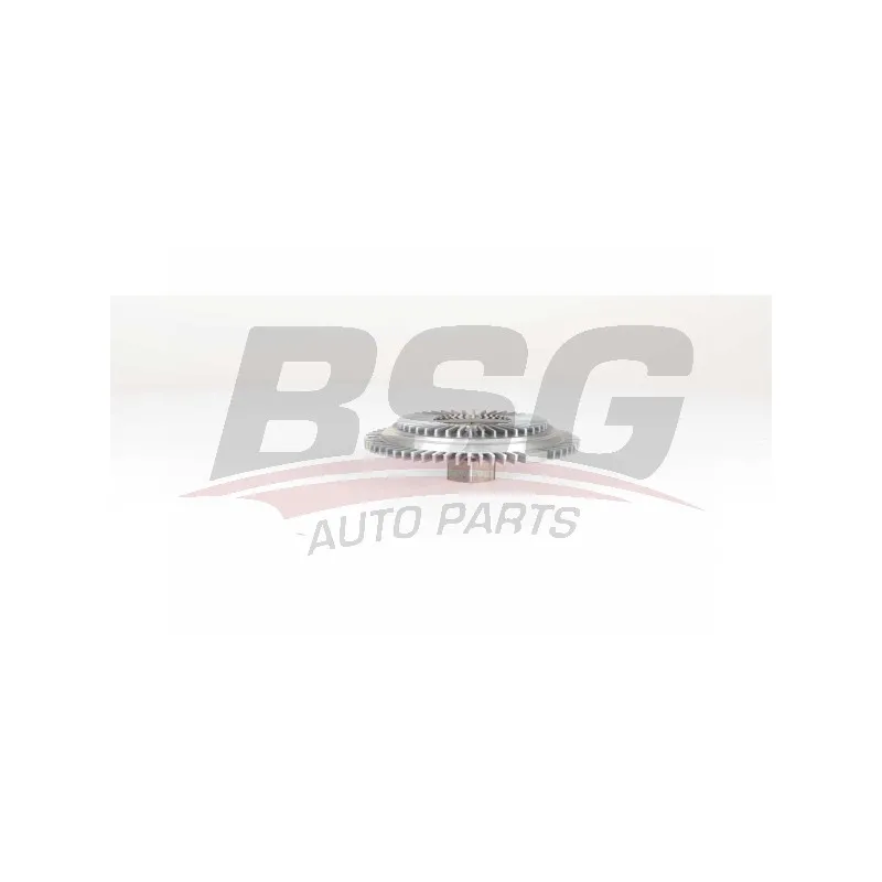 Ventilateur, refroidissement du moteur BSG BSG 65-505-001