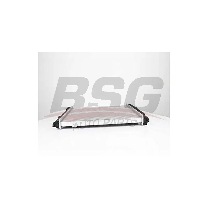 Radiateur, refroidissement du moteur BSG BSG 65-520-026