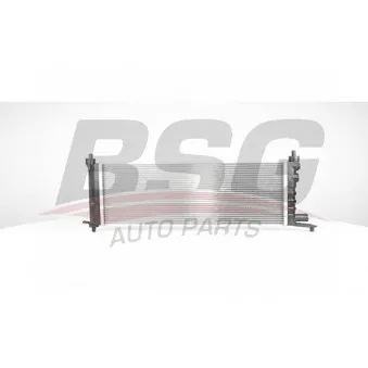 Radiateur, refroidissement du moteur BSG BSG 65-520-030
