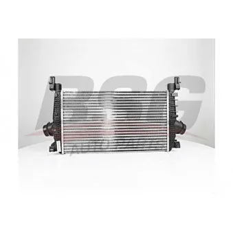 Intercooler, échangeur BSG BSG 65-535-010