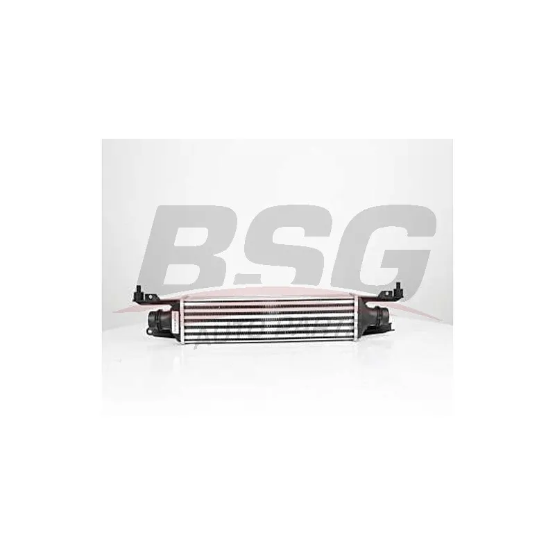 Intercooler, échangeur BSG BSG 65-535-012