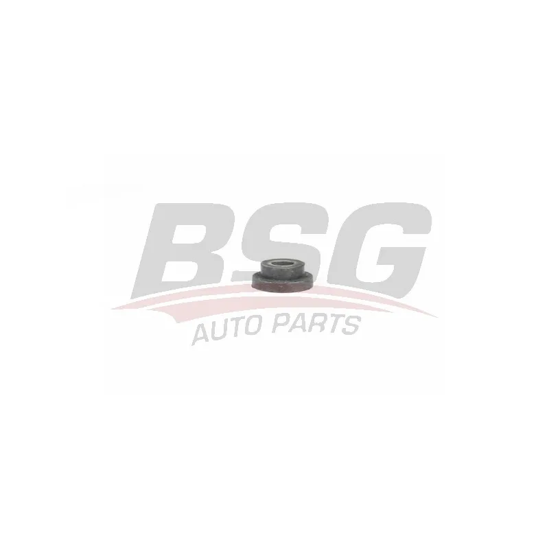 Support de radiateur BSG BSG 65-700-193