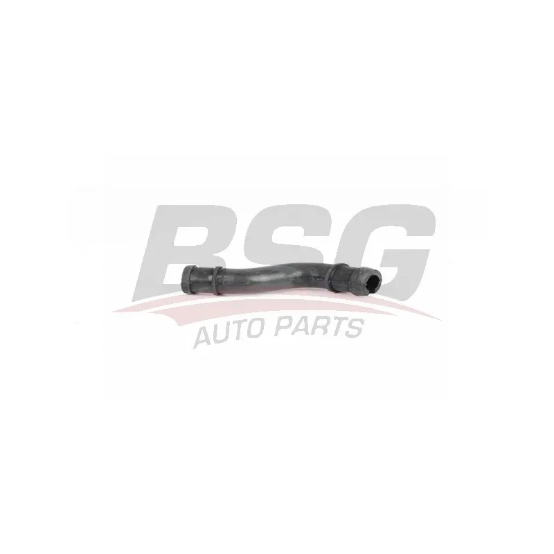 Flexible, aération de la housse de culasse BSG BSG 65-720-160
