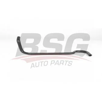 Durite de radiateur BSG BSG 65-720-165