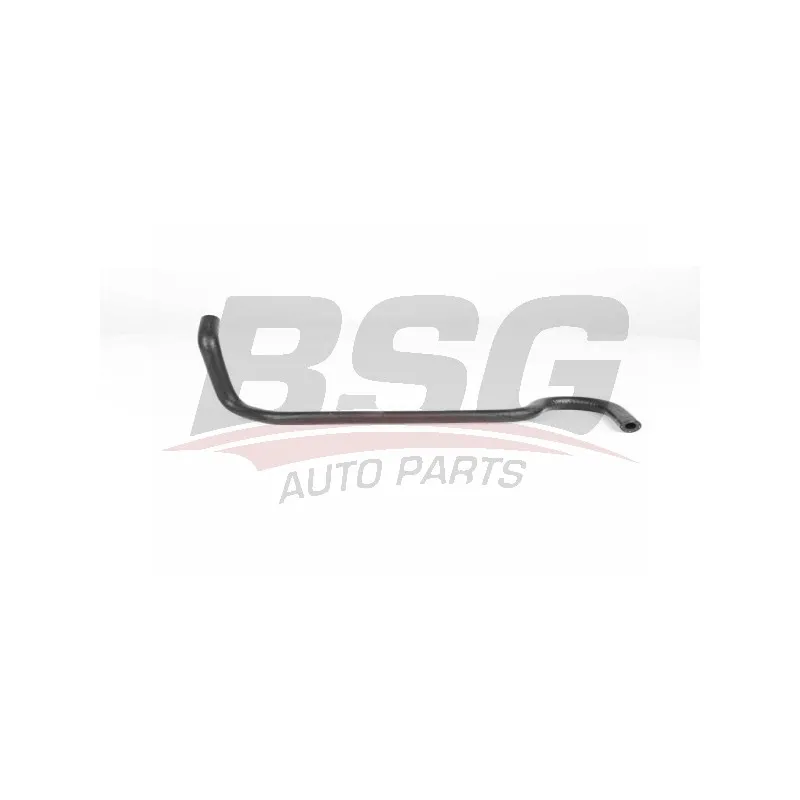 Durite de radiateur BSG BSG 65-720-165