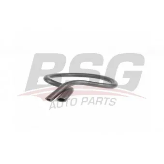 Durite de radiateur BSG BSG 65-720-168