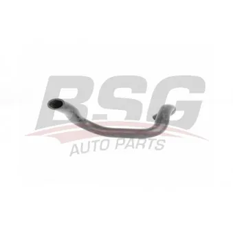 Tuyau, ventilation de carter-moteur BSG BSG 65-720-173