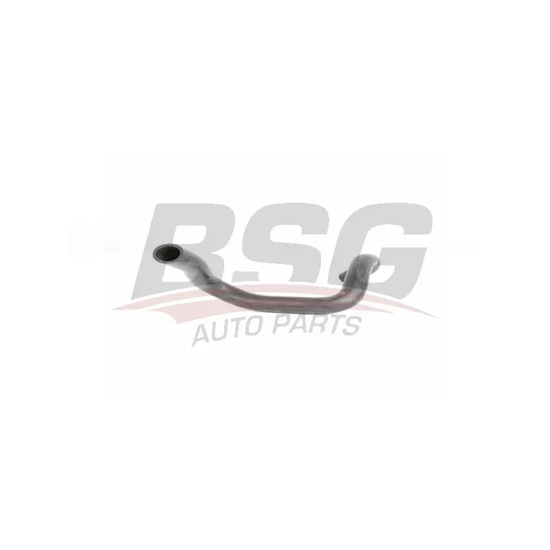 Tuyau, ventilation de carter-moteur BSG BSG 65-720-173