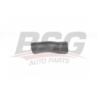 Gaine de suralimentation BSG BSG 65-720-176