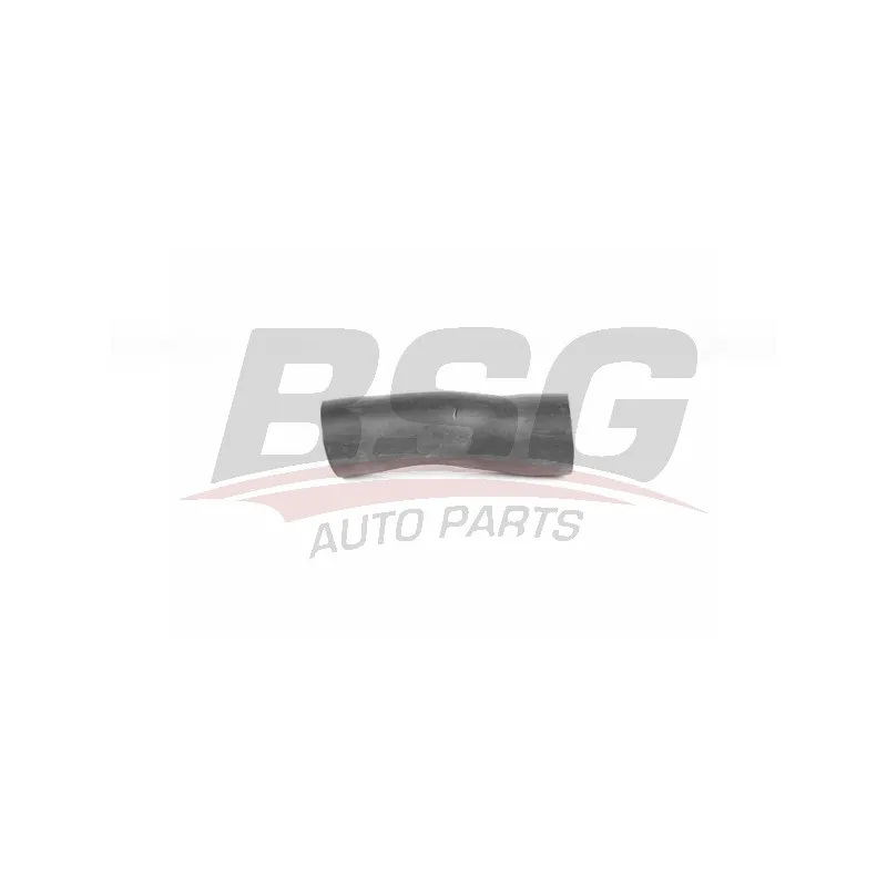 Gaine de suralimentation BSG BSG 65-720-176