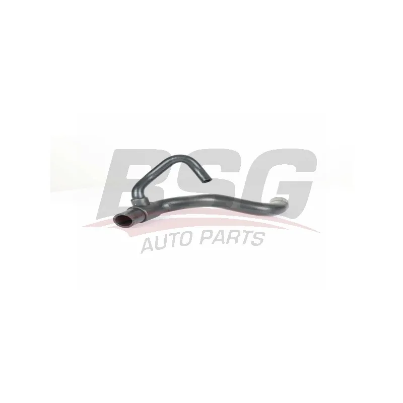 Durite de radiateur BSG BSG 65-720-198