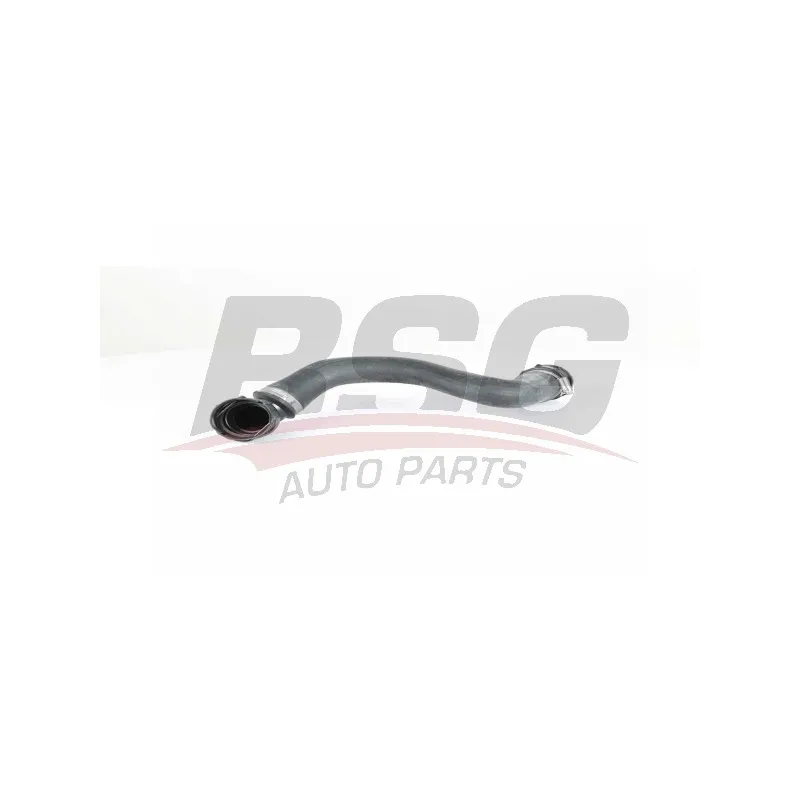 Durite de radiateur BSG BSG 65-720-205
