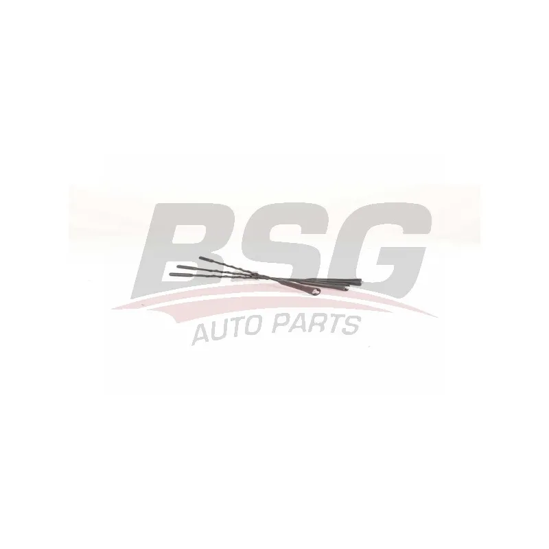 Antenne BSG BSG 65-922-089