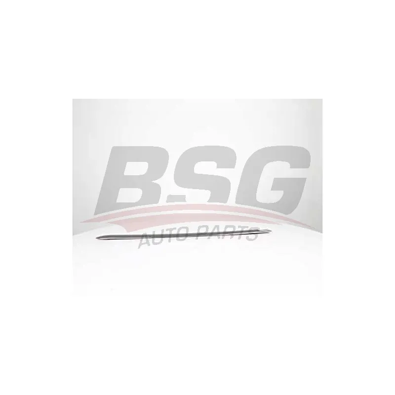 Baguette et bande protectrice, porte arrière gauche BSG BSG 65-925-038