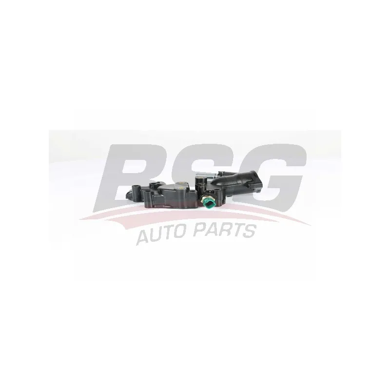 Thermostat d'eau BSG BSG 70-126-002