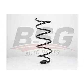 Ressort de suspension BSG BSG 70-305-001