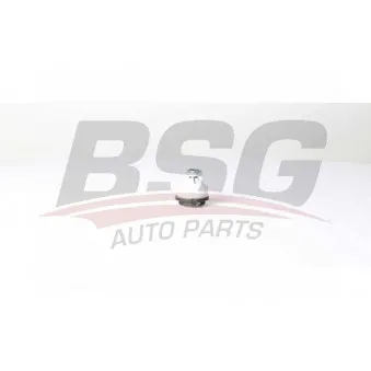 Rotule de suspension BSG BSG 70-310-072