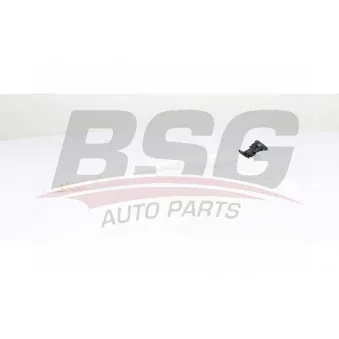 Tuyauterie de carburant BSG BSG 70-725-011
