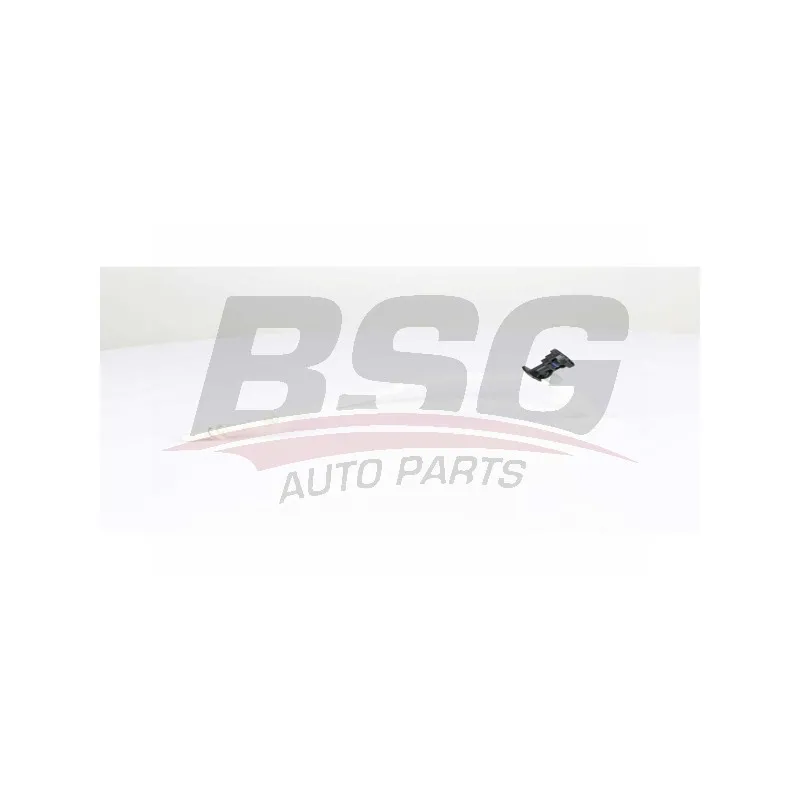 Tuyauterie de carburant BSG BSG 70-725-011