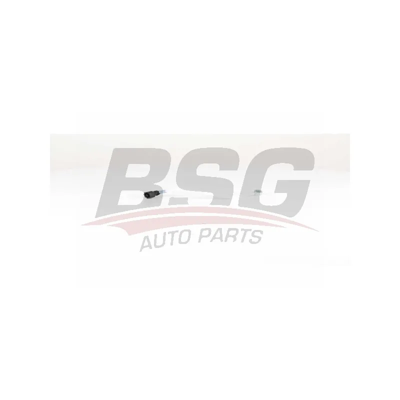 Tuyauterie de carburant BSG BSG 70-725-012