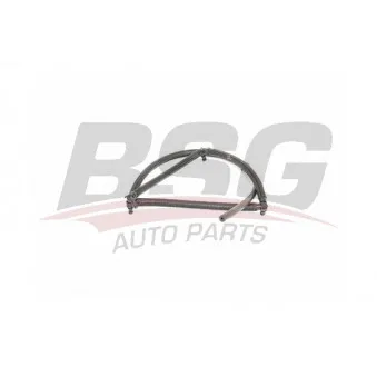 Tuyau, carburant de fuite BSG BSG 70-725-013