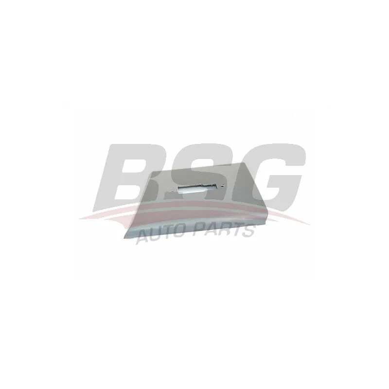 Baguette et bande protectrice, panneau latérale BSG BSG 70-922-044