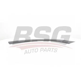 Baguette et bande protectrice, porte avant droit BSG BSG 70-925-002