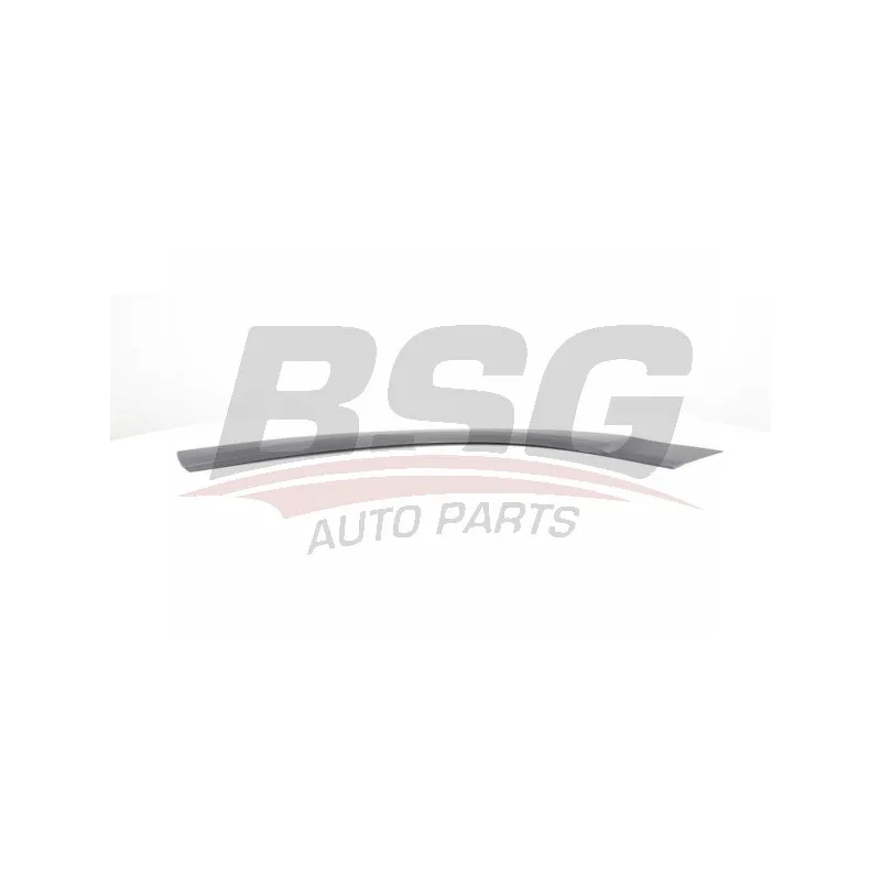 Baguette et bande protectrice, porte avant droit BSG BSG 70-925-002
