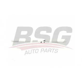 Baguette et bande protectrice, porte avant droit BSG BSG 70-925-006