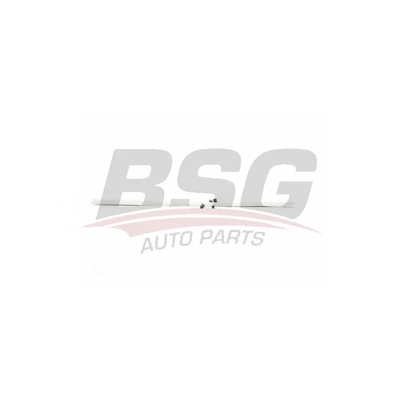 Baguette et bande protectrice, porte avant droit BSG BSG 70-925-006