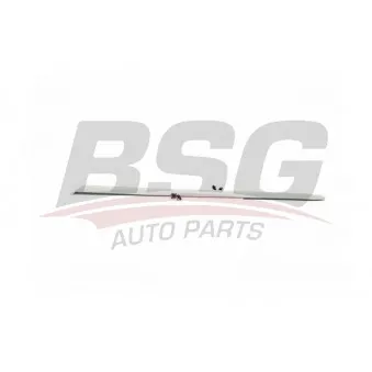 Baguette et bande protectrice, porte arrière gauche BSG BSG 70-925-007
