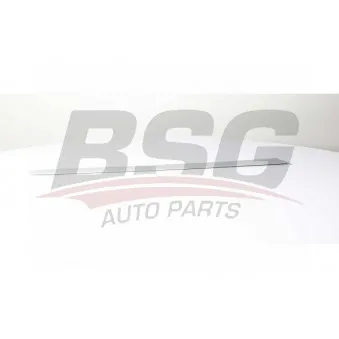 Baguette et bande protectrice, porte arrière droit BSG BSG 70-925-008