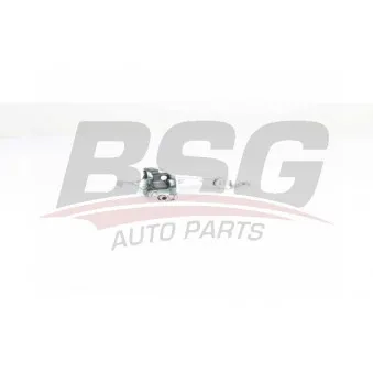 Cale-porte BSG BSG 70-975-046