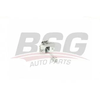Cale-porte BSG BSG 70-975-054