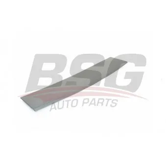 Enjoliveur, hayon BSG BSG 70-975-058