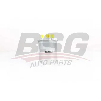 Filtre à carburant BSG BSG 75-130-002