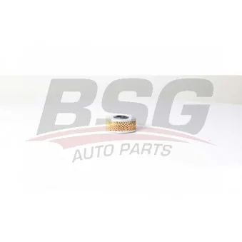 Filtre à carburant BSG BSG 75-130-009